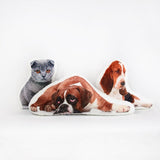 Personalized decorative custom pillow with your photo