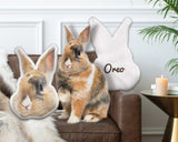 Personalized Shape Pet Pillow Case, Custom Pet Photo Face Pillow, Dog Picture Pillow, Cat Photo Pillow, Gift For Pet Lovers, Rabbit Pillow