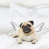 Custom Pet Memorial Pillow, Personalized Pet Memorial Gift, Dog Pillow, Cat Pillow, Custom Shaped Pillow, Pet Lover Gift, Dog Loss Gift