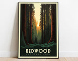 Redwood National Park Poster, California Poster, US National Parks Poster, Travel Poster, Adventure Poster, Nature Art, Landscape Art