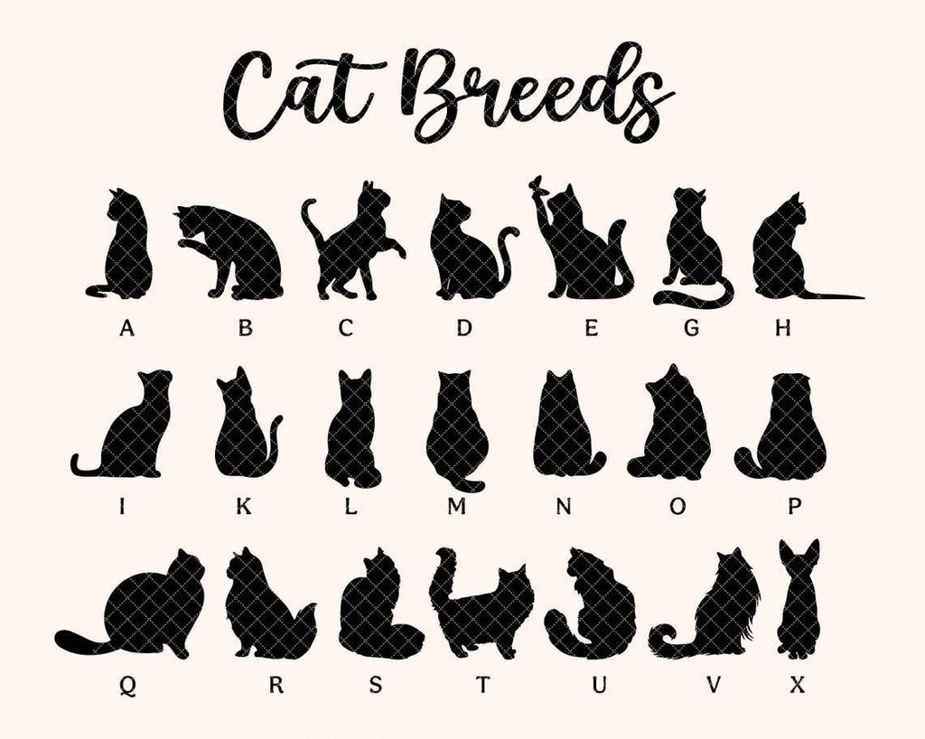 Custom Cat Loss Suncatcher, Custom Pet Memorial Gift, Pet Loss Sympathy Gift, Cat Lover Gift, Pet Remembrance Gift, Window Hanging