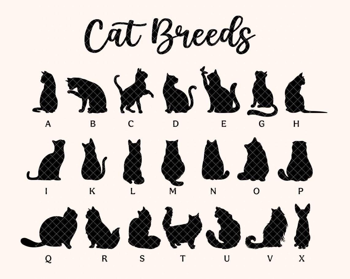 Custom Cat Loss Suncatcher, Custom Pet Memorial Gift, Pet Loss Sympathy Gift, Cat Lover Gift, Pet Remembrance Gift, Window Hanging
