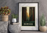 Redwood National Park Poster, California Poster, US National Parks Poster, Travel Poster, Adventure Poster, Nature Art, Landscape Art