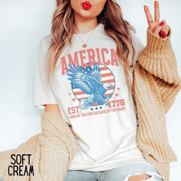USA shirt, Fourth of July Shirt T-Shirt, 1776 Tee, Summer BBQ t-shirt, Red White and Blue America Tee, Patriotic America T,Retro 4th of July
